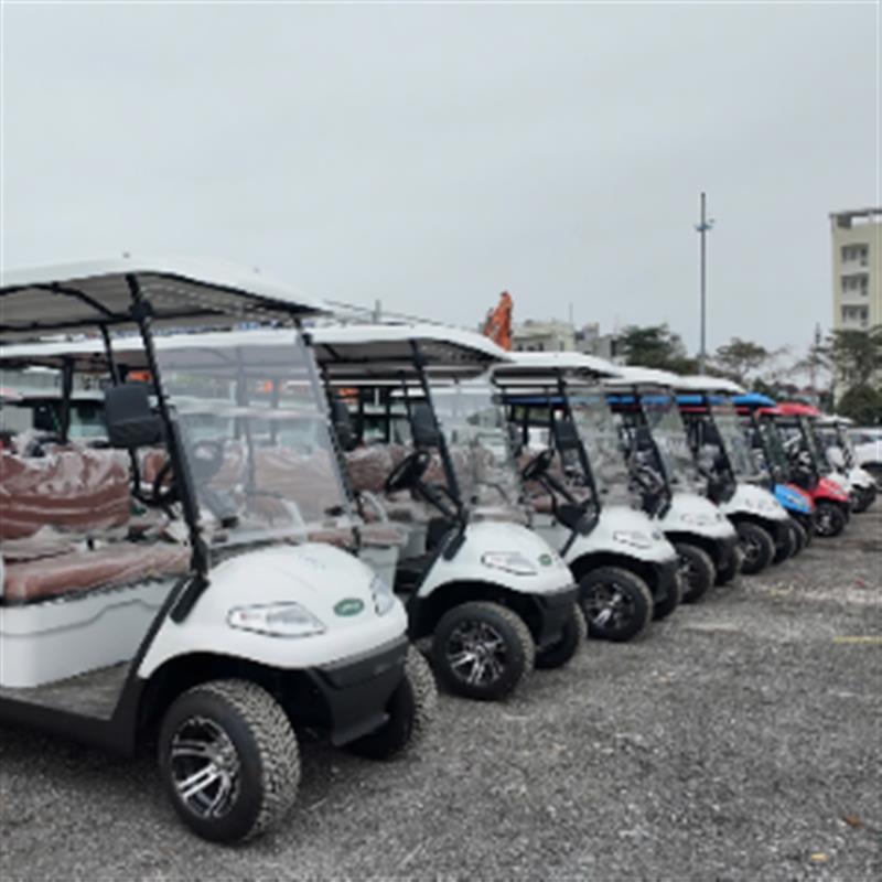 Thiết kế hiện đại & Đa dạng mẫu mã