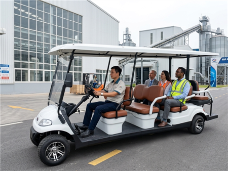Báo giá Xe điện tham quan kiểu Golf 8 chỗ ngồi Lvtong LT-A617.6+2