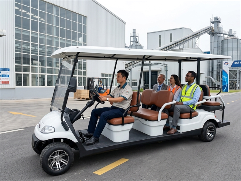 Báo giá Xe điện tham quan kiểu Golf 8 chỗ ngồi Lvtong LT-A617.6+2