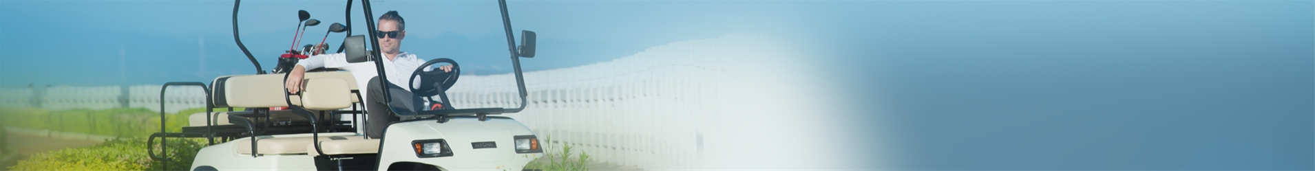 Về Lvtong Việt Nam